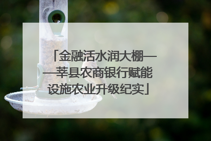 金融活水润大棚——莘县农商银行赋能设施农业升级纪实
