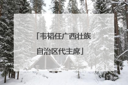韦韬任广西壮族自治区代主席