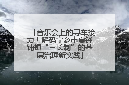 音乐会上的寻车接力！解码宁乡市夏铎铺镇“三长制”的基层治理新实践