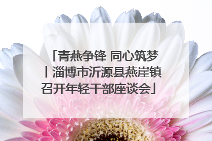 青燕争锋 同心筑梦丨淄博市沂源县燕崖镇召开年轻干部座谈会