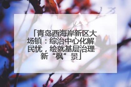 青岛西海岸新区大场镇：综治中心化解民忧，绘就基层治理新“枫”景