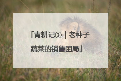 青耕记③｜老种子蔬菜的销售困局
