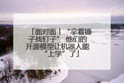 面对面丨“拿着锤子找钉子” 他们的开源模型让机器人能“上学”了