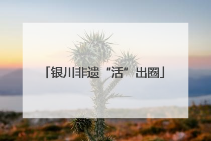 银川非遗“活”出圈