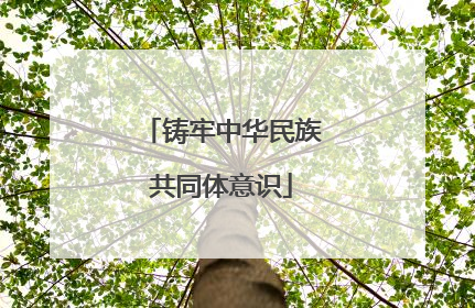 铸牢中华民族共同体意识