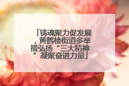 铸魂聚力促发展，黄鹤楼街道多举措弘扬“三大精神”凝聚奋进力量
