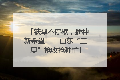 铁犁不停歇，播种新希望——山东“三夏”抢收抢种忙