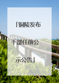 铜陵发布干部任前公示公告