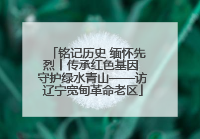 铭记历史 缅怀先烈丨传承红色基因 守护绿水青山——访辽宁宽甸革命老区