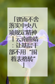 锲而不舍落实中央八项规定精神丨云南曲靖：让基层干部不用“围着表格转”