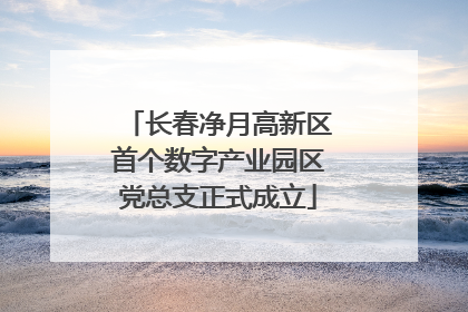 长春净月高新区首个数字产业园区党总支正式成立