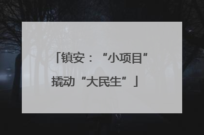 镇安：“小项目”撬动“大民生”