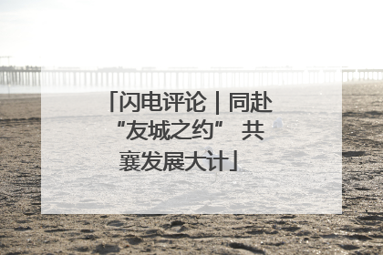 闪电评论｜同赴“友城之约” 共襄发展大计