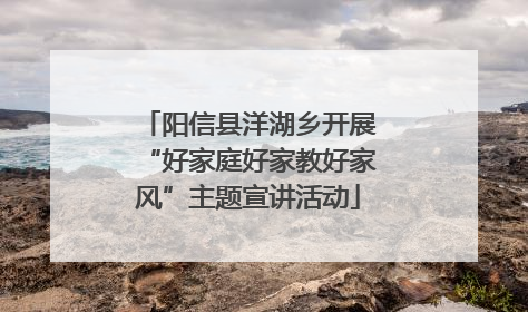 阳信县洋湖乡开展“好家庭好家教好家风”主题宣讲活动