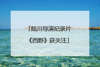 陆川导演纪录片《西野》获关注