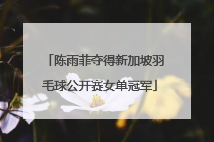 陈雨菲夺得新加坡羽毛球公开赛女单冠军