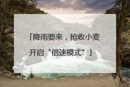 降雨要来，抢收小麦开启“倍速模式”