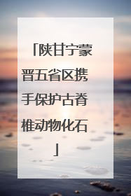 陕甘宁蒙晋五省区携手保护古脊椎动物化石