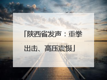 陕西省发声：重拳出击、高压震慑