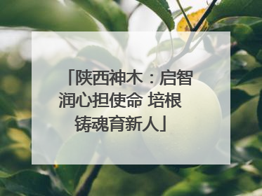 陕西神木：启智润心担使命 培根铸魂育新人