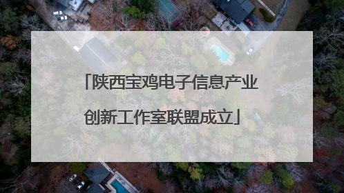 陕西宝鸡电子信息产业创新工作室联盟成立
