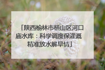 陕西榆林市横山区河口庙水库：科学调度保灌溉 精准放水解旱情