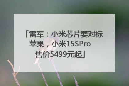 雷军：小米芯片要对标苹果，小米15SPro售价5499元起