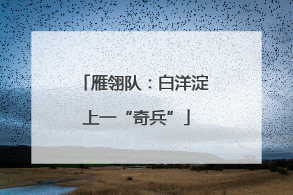 雁翎队：白洋淀上一“奇兵”