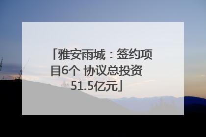 雅安雨城：签约项目6个 协议总投资51.5亿元