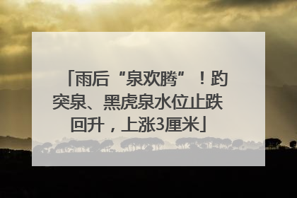 雨后“泉欢腾”！趵突泉、黑虎泉水位止跌回升，上涨3厘米