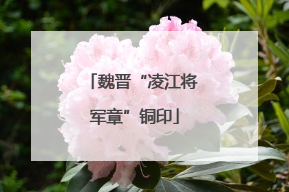 魏晋“凌江将军章”铜印