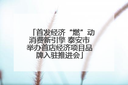首发经济“燃”动消费新引擎 泰安市举办首店经济项目品牌入驻推进会