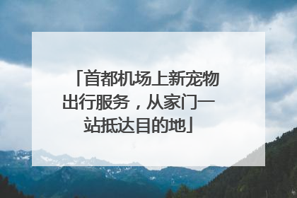 首都机场上新宠物出行服务，从家门一站抵达目的地