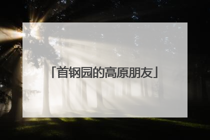 首钢园的高原朋友