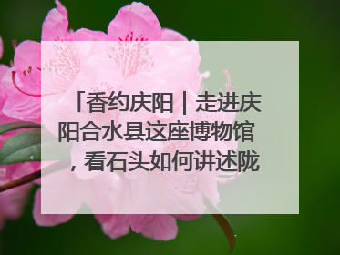 香约庆阳｜走进庆阳合水县这座博物馆，看石头如何讲述陇东千年历史