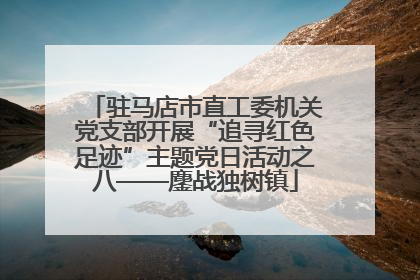 驻马店市直工委机关党支部开展“追寻红色足迹”主题党日活动之八——鏖战独树镇