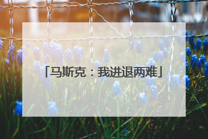 马斯克：我进退两难