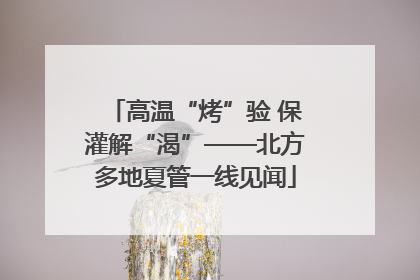 高温“烤”验 保灌解“渴”——北方多地夏管一线见闻