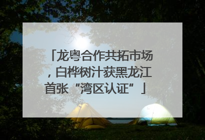 龙粤合作共拓市场，白桦树汁获黑龙江首张“湾区认证”