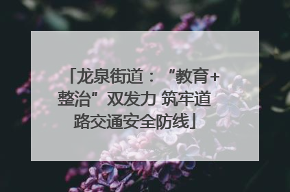 龙泉街道：“教育+整治”双发力 筑牢道路交通安全防线