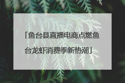 鱼台县直播电商点燃鱼台龙虾消费季新热潮