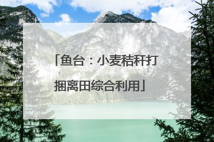 鱼台：小麦秸秆打捆离田综合利用