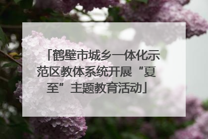 鹤壁市城乡一体化示范区教体系统开展“夏至”主题教育活动