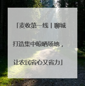 麦收第一线丨聊城打造集中晾晒场地，让农民省心又省力