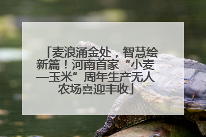 麦浪涌金处，智慧绘新篇！河南首家“小麦—玉米”周年生产无人农场喜迎丰收