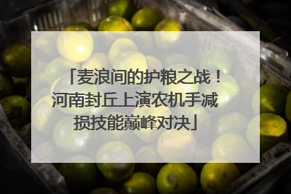 麦浪间的护粮之战！河南封丘上演农机手减损技能巅峰对决