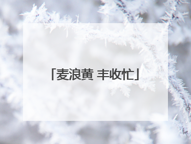 麦浪黄 丰收忙