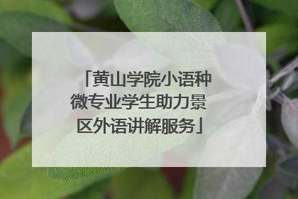 黄山学院小语种微专业学生助力景区外语讲解服务