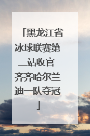 黑龙江省冰球联赛第二站收官 齐齐哈尔兰迪一队夺冠