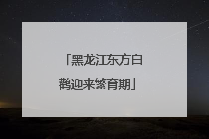 黑龙江东方白鹳迎来繁育期